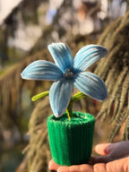 Set of 2 Handmade Flower Cups – Red & Sky Blue
